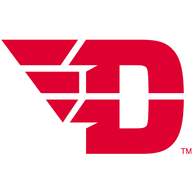 Dayton Flyers iron ons